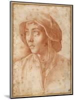 Bust Portrait of a Boy Wearing a Cap-Francesco De Rossi Salviati Cecchino-Mounted Giclee Print