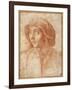 Bust Portrait of a Boy Wearing a Cap-Francesco De Rossi Salviati Cecchino-Framed Giclee Print