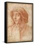 Bust Portrait of a Boy Wearing a Cap-Francesco De Rossi Salviati Cecchino-Framed Stretched Canvas