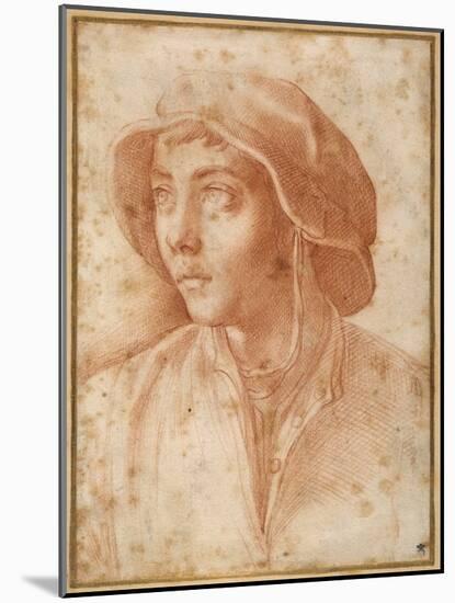 Bust Portrait of a Boy Wearing a Cap-Francesco De Rossi Salviati Cecchino-Mounted Giclee Print