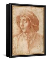 Bust Portrait of a Boy Wearing a Cap-Francesco De Rossi Salviati Cecchino-Framed Stretched Canvas