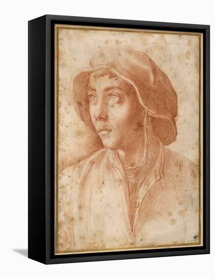 Bust Portrait of a Boy Wearing a Cap-Francesco De Rossi Salviati Cecchino-Framed Stretched Canvas