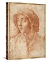 Bust Portrait of a Boy Wearing a Cap-Francesco De Rossi Salviati Cecchino-Stretched Canvas