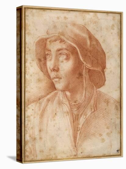 Bust Portrait of a Boy Wearing a Cap-Francesco De Rossi Salviati Cecchino-Stretched Canvas