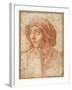 Bust Portrait of a Boy Wearing a Cap-Francesco De Rossi Salviati Cecchino-Framed Giclee Print