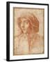 Bust Portrait of a Boy Wearing a Cap-Francesco De Rossi Salviati Cecchino-Framed Giclee Print