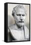 Bust Sculpture of Demosthenes-null-Framed Stretched Canvas