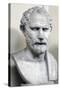 Bust Sculpture of Demosthenes-null-Stretched Canvas