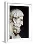 Bust Sculpture of Epicurus-null-Framed Photographic Print