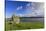 Busta Brae, Standing Stone, cloudscape and coastal views, Scotland-Eleanor Scriven-Stretched Canvas