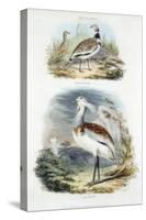 Bustards, 1835-null-Stretched Canvas