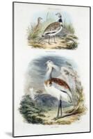 Bustards, 1835-null-Mounted Giclee Print