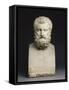 Buste de Zénon de Citium (322-264 av J.C), philosophe grec, fondateur du stoïcisme-null-Framed Stretched Canvas