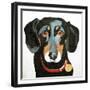 Buster, 2012-Jennifer Abbott-Framed Giclee Print