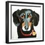 Buster, 2012-Jennifer Abbott-Framed Giclee Print