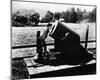 Buster Keaton-null-Mounted Photo