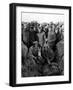 Buster s'en va-t-en guerre (DOUGHBOYS) by EdwardSedgwick with Buster Keaton, 1930 (b/w photo)-null-Framed Photo