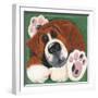 Buster-Kate Mawdsley-Framed Giclee Print