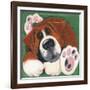 Buster-Kate Mawdsley-Framed Giclee Print