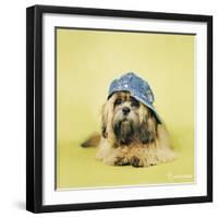 Buster-Rachael Hale-Framed Photographic Print