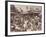 Busy Bazaar in Jaffa-null-Framed Photographic Print