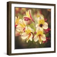 Busy Bee-Lance Kuehne-Framed Photographic Print