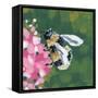 Busy Bee-Yvette St. Amant-Framed Stretched Canvas