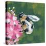Busy Bee-Yvette St. Amant-Stretched Canvas
