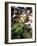 Busy Central Market, Hoi An, Central Vietnam, Vietnam-Gavin Hellier-Framed Photographic Print