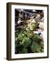 Busy Central Market, Hoi An, Central Vietnam, Vietnam-Gavin Hellier-Framed Photographic Print