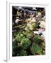 Busy Central Market, Hoi An, Central Vietnam, Vietnam-Gavin Hellier-Framed Photographic Print