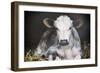 Busy Day Crop-Aledanda-Framed Premium Giclee Print