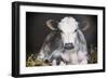 Busy Day Crop-Aledanda-Framed Premium Giclee Print