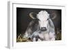 Busy Day Crop-Aledanda-Framed Premium Giclee Print