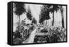 Busy Road, World War I, 1915-null-Framed Stretched Canvas