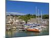 Busy Tourist Shops, Small Boats and Yachts at High Tide in Padstow Harbour, North Cornwall, England-Neale Clark-Mounted Photographic Print