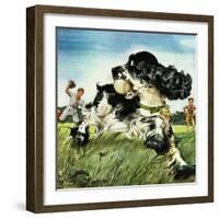 "Butch and Baseball," June 18, 1949-Albert Staehle-Framed Giclee Print