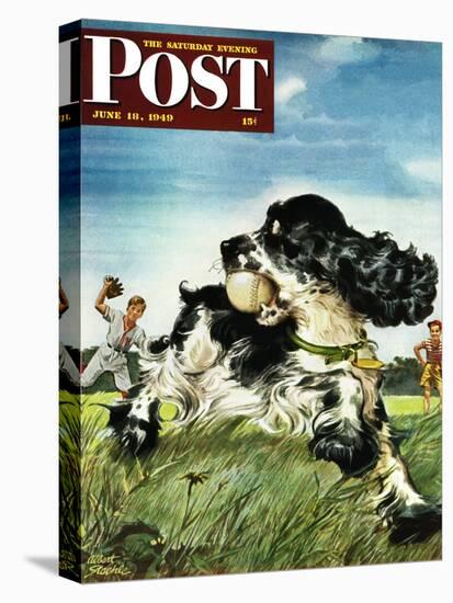 "Butch and Baseball," Saturday Evening Post Cover, June 18, 1949-Albert Staehle-Stretched Canvas