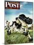 "Butch and Baseball," Saturday Evening Post Cover, June 18, 1949-Albert Staehle-Mounted Giclee Print