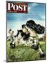 "Butch and Baseball," Saturday Evening Post Cover, June 18, 1949-Albert Staehle-Mounted Premium Giclee Print