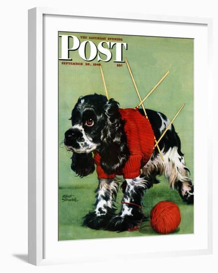 "Butch and Knitted Sweater," Saturday Evening Post Cover, September 28, 1946-Albert Staehle-Framed Giclee Print