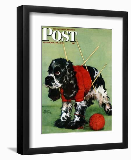 "Butch and Knitted Sweater," Saturday Evening Post Cover, September 28, 1946-Albert Staehle-Framed Premium Giclee Print