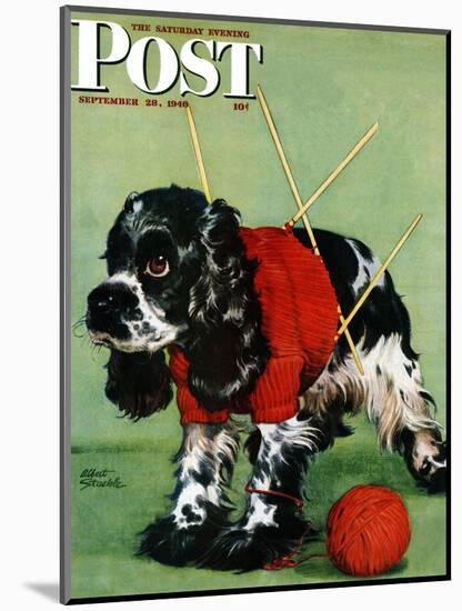 "Butch and Knitted Sweater," Saturday Evening Post Cover, September 28, 1946-Albert Staehle-Mounted Premium Giclee Print