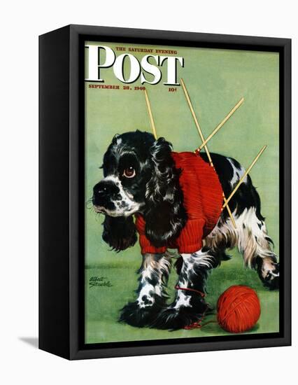 "Butch and Knitted Sweater," Saturday Evening Post Cover, September 28, 1946-Albert Staehle-Framed Stretched Canvas