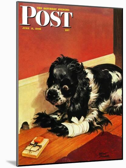 "Butch and Mousetrap," Saturday Evening Post Cover, June 8, 1946-Albert Staehle-Mounted Premium Giclee Print