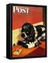 "Butch and Mousetrap," Saturday Evening Post Cover, June 8, 1946-Albert Staehle-Framed Stretched Canvas