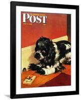 "Butch and Mousetrap," Saturday Evening Post Cover, June 8, 1946-Albert Staehle-Framed Premium Giclee Print