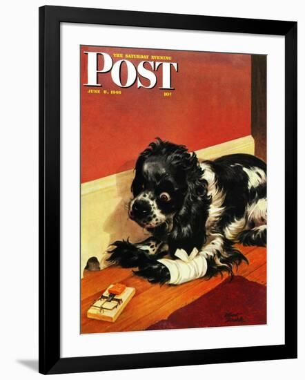 "Butch and Mousetrap," Saturday Evening Post Cover, June 8, 1946-Albert Staehle-Framed Premium Giclee Print