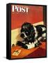 "Butch and Mousetrap," Saturday Evening Post Cover, June 8, 1946-Albert Staehle-Framed Stretched Canvas
