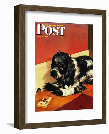 "Butch and Mousetrap," Saturday Evening Post Cover, June 8, 1946-Albert Staehle-Framed Giclee Print